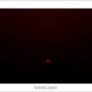 체육공원앞 이미지