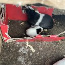 찬우물농장 이미지