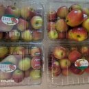 달님농장 이미지