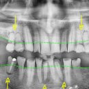 e-플랜트치과의원 이미지