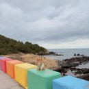 산따라 물따라 코스 이미지