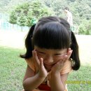 섬안농장 이미지