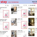 스테이 연 이미지