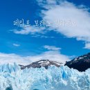 페리토 | 페리토 모레노 빙하 투어 후기🧊 버킷리스트 완료 남미 여행 추천