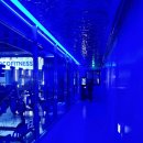 오송휘트니스 | 오송헬스장 2산단헬스장 코코피트니스 PT 후기