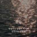 윤슬 이미지
