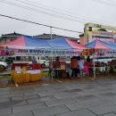 화순불미나리 이미지