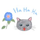 편의점(솔마루) 이미지