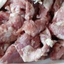 유명갈매기 이미지