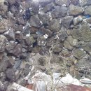 서부목장 이미지