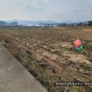 진흥 부동산중개사무소 이미지