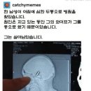 메이플동물병원 이미지