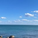 그릿비 일광점 이미지