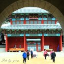 영남대로 이미지