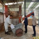 박재홍 농장 이미지