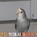 학계농장 이미지