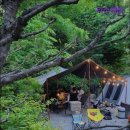 리스캐빈 | [가평 캠핑장 추천] 리스캐빈 가평 캠핑장 리스캐빈, 자연 속 힐링 공간