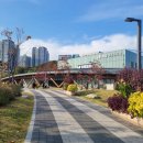 버터플라이 포메 | 수원 영흥수목원 숲속 데이트 코스 맛집 카페 버터플라이 인기 메뉴 총정리 주문마감시간