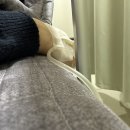 호균야채 | 본죽 비빔밥 왕십리 뉴타운점 후기