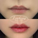 린디자인 | 안양/ 범계 혈색립 입술 문신 반영구 "린브로우" 내돈내산 솔직 후기