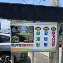 향나무집 | 부산 김해공항 근처 백숙 맛집 향나무집 솔직후기