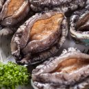 완도전복 이미지