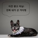 씨유 평리문화로점 | 고기부터 조개, 게딱지장까지! 한자리에서 코스처럼 즐기기! 다라이 평리점 내돈내산 방문후기!