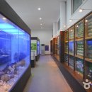 창조자연사박물관 이미지