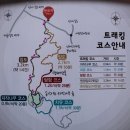 인제 자작나무숲+ 수타사 산소길 (2025.1.3) 이미지