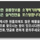 연제초등학교(B)