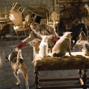 강아지 호텔 이미지