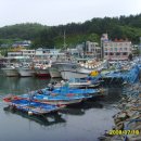 대포항회집 이미지