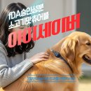 양수하나로약국 네이버블로그