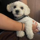 생마차 광양중마점