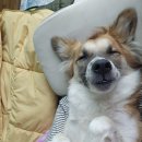 별빛든쉼 이미지