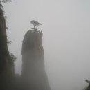 태평산장 이미지