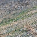 세창 태양광 이미지