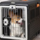 써클켄넬 이미지