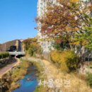 삼봉천 이미지