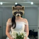 [셀레네 촬영가봉 1탄] 화이트 풍성 튤 드레스 입어봤더니…공주핏 현실 후기🤍
