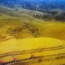 가화만사흥 이미지