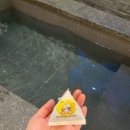 202 | 도마르호텔 202호 오션뷰 객실 후기 🏨