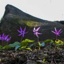 노래를찾는사람들 이미지