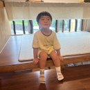 보목꿈터작은도서관 Daum카페