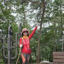 대전둘레산길(7구간) 이미지