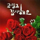 마음가짐 Daum카페