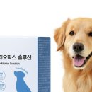 모하우스 이미지