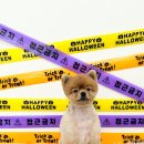 뽀프퍼피 이미지