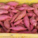 임성규농장 이미지