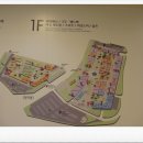 롯데그릇 이미지